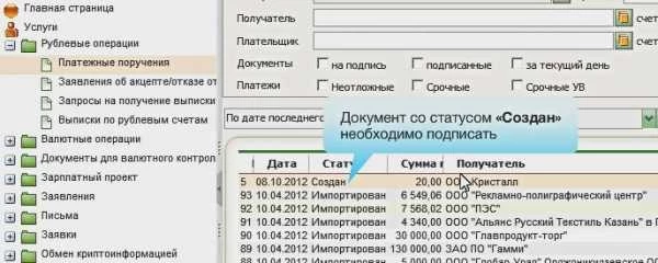 Как заполнить платежное поручение в сбербанк бизнес онлайн образец